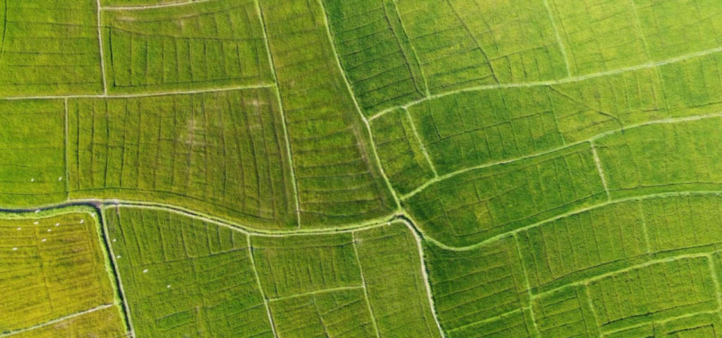 Land value and Inflation: why finding infinity within what’s finite is the only option!