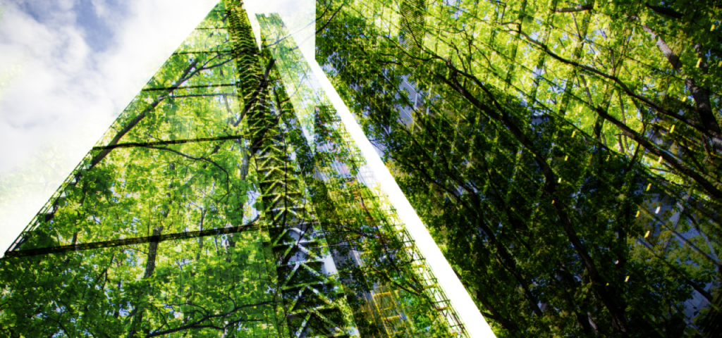Sustainable Architecture: Paving the Way for Smarter and Greener Living Spaces